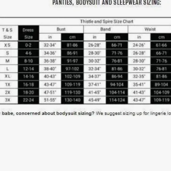 Thistle and Spire Mirage Thong Panty Eyelash Lacy Black XL(14-16) NWT - Picture 4 of 6